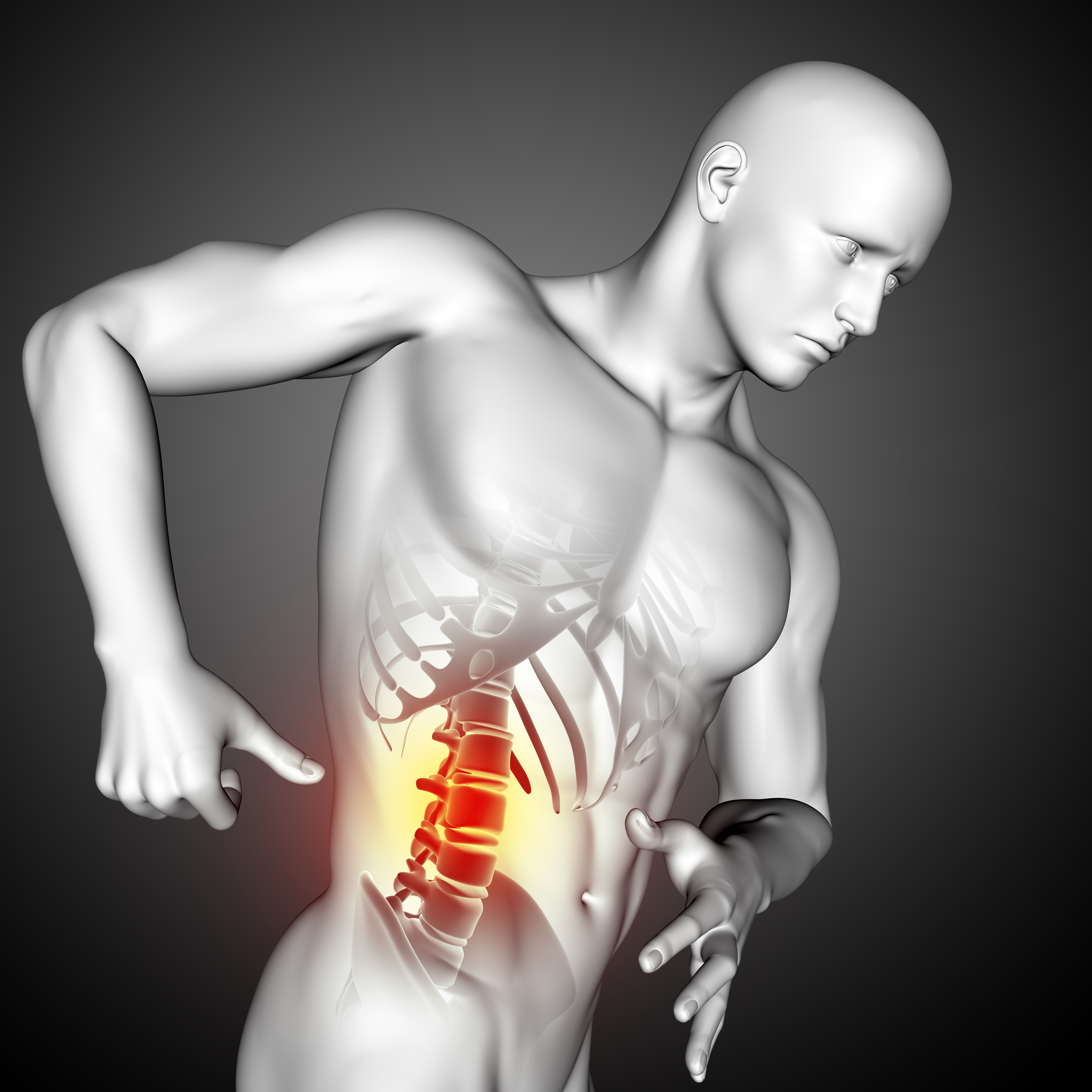 Medical illustration of the spine